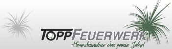 Topp Feuerwerk