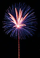 Peony blau mit Palmenherzen