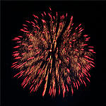 Chrysantheme gold Glitter zu rot