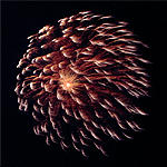 Chrysantheme gold Glitter zu silber