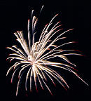 Silberweide mit roten Spitzen